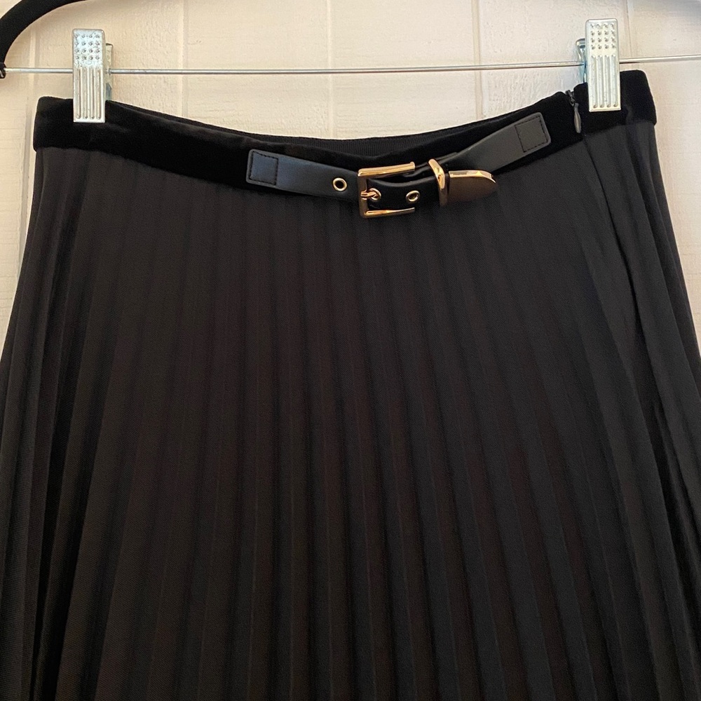 Sandro Black Pleated Skirt with Gold Accents
Velvet on the bottom 
Size 1. - Picture 4 of 7